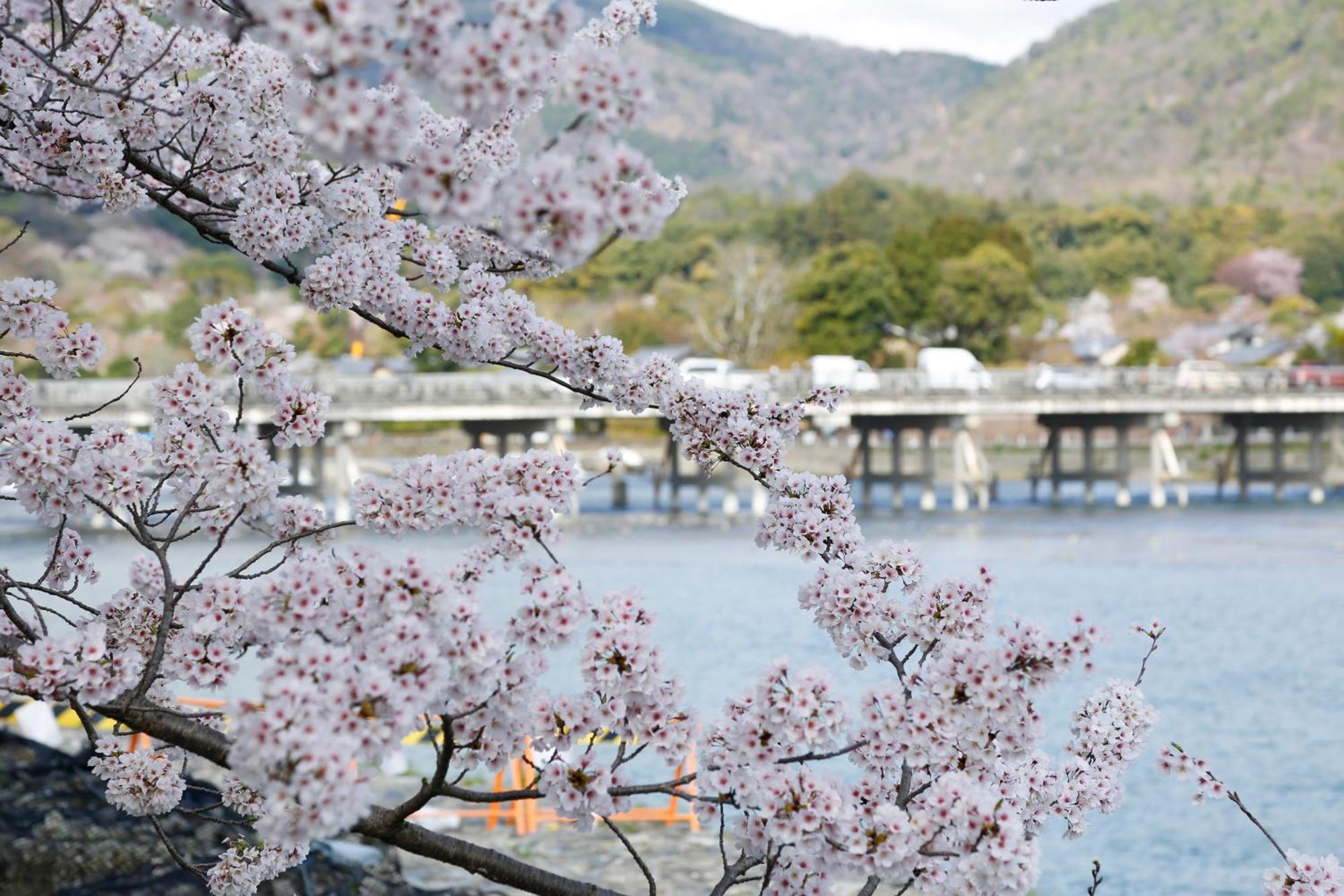 Kyoto Arashiyama Onsen Ryokan Togetsutei Buitenkant foto